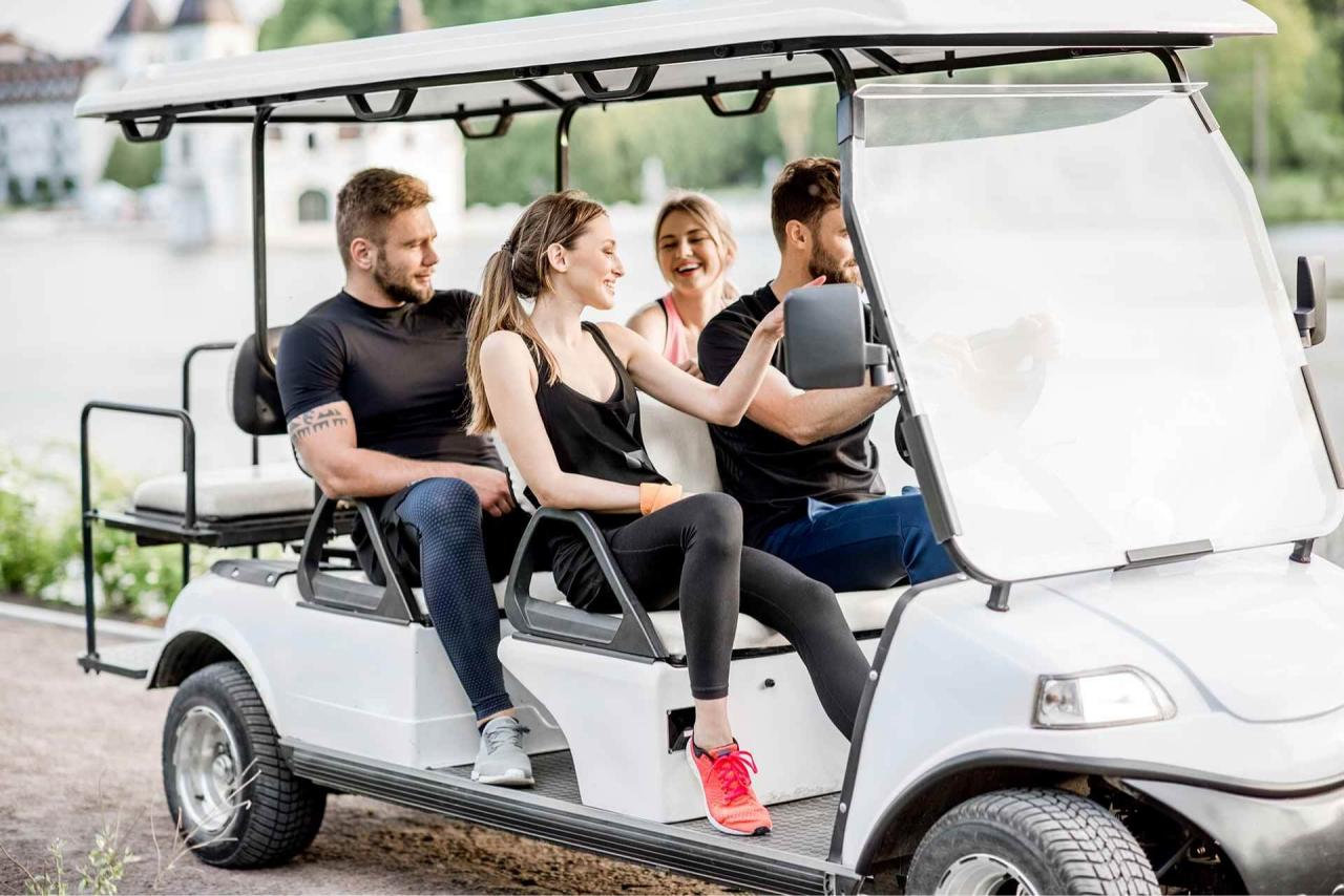 Evolution 6 seater golf cart