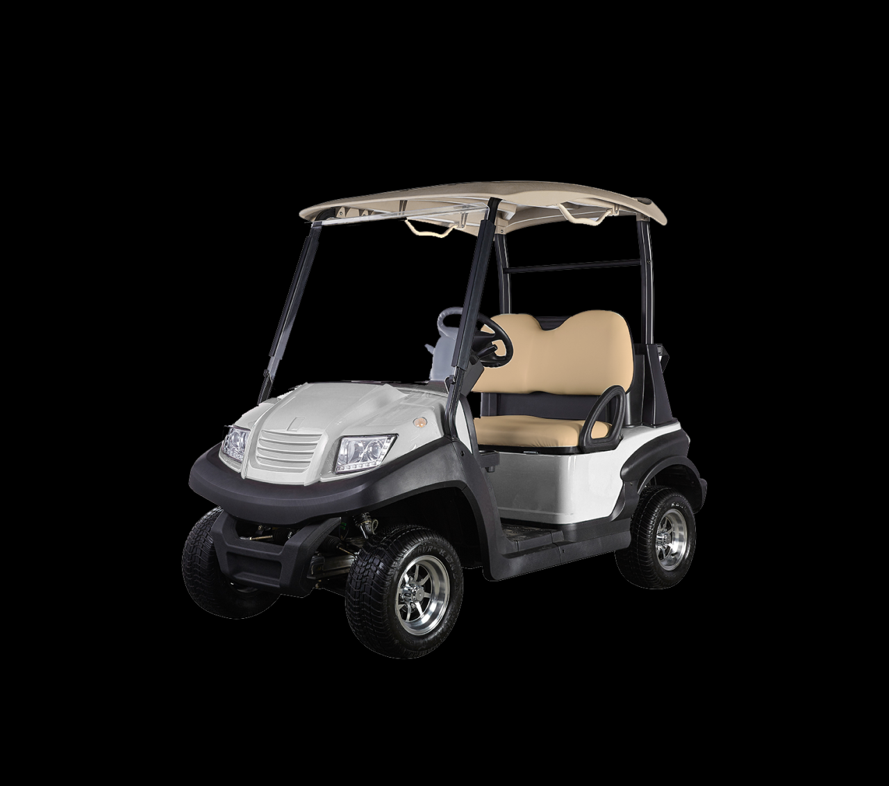 2 seater golf cart