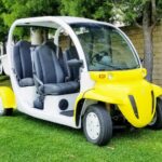 Gem electric car golf cart