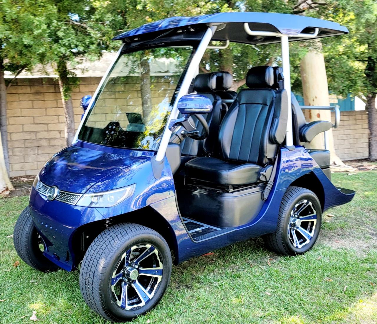 Evolution golf cart models