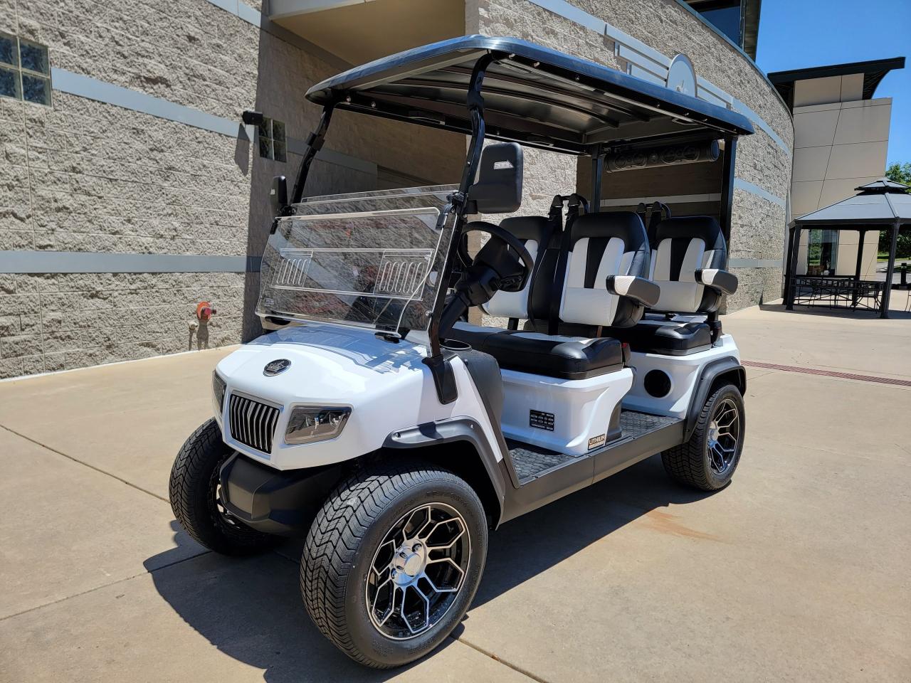 Evolution golf carts d5