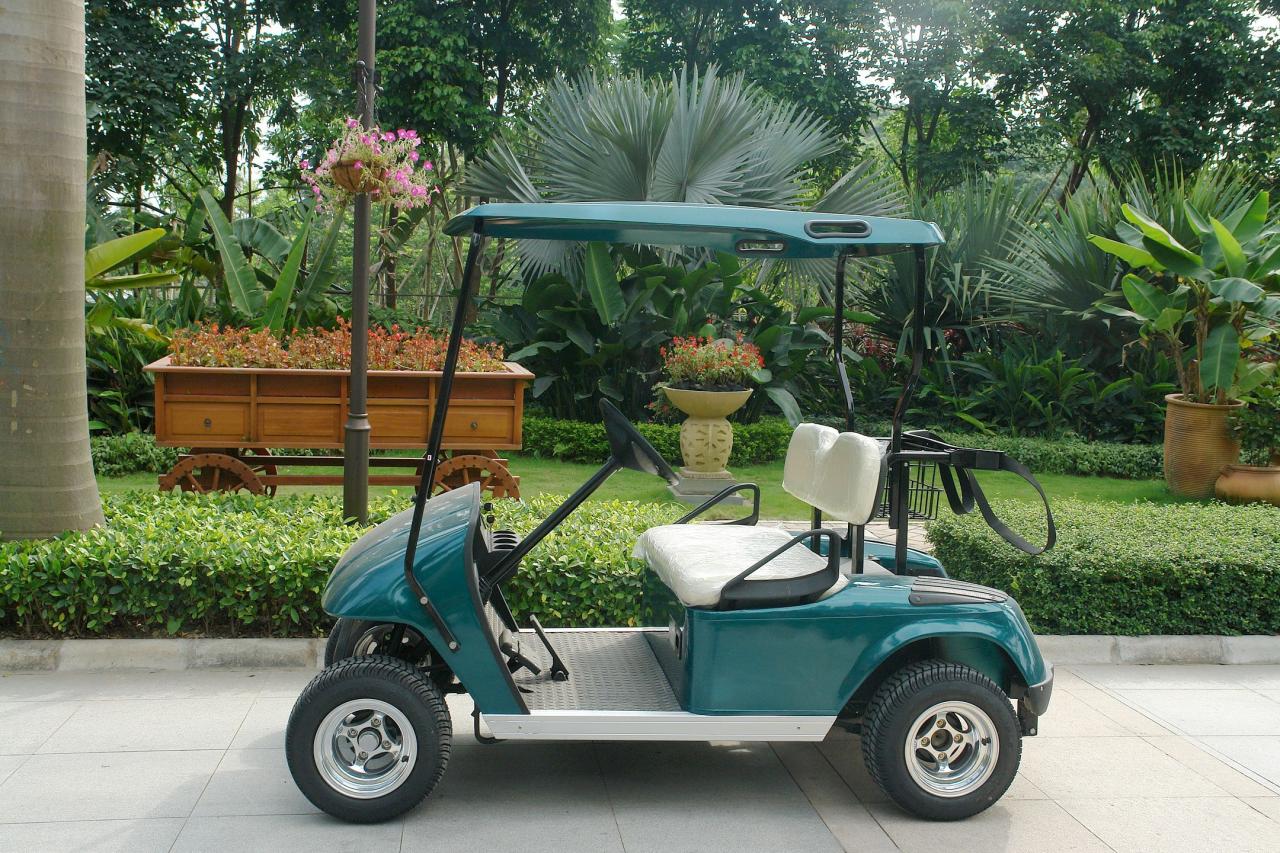 2 seater golf cart