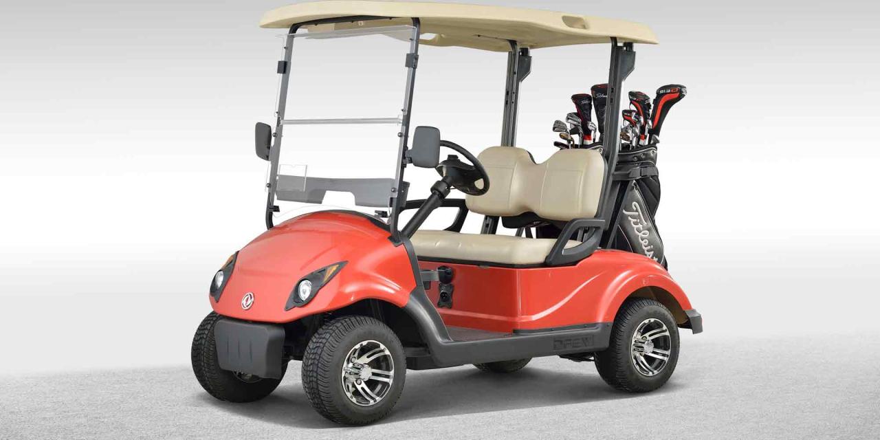 2 seater golf cart