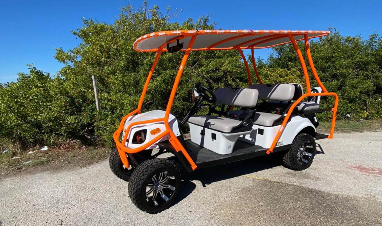 Evolution golf carts 6 seater