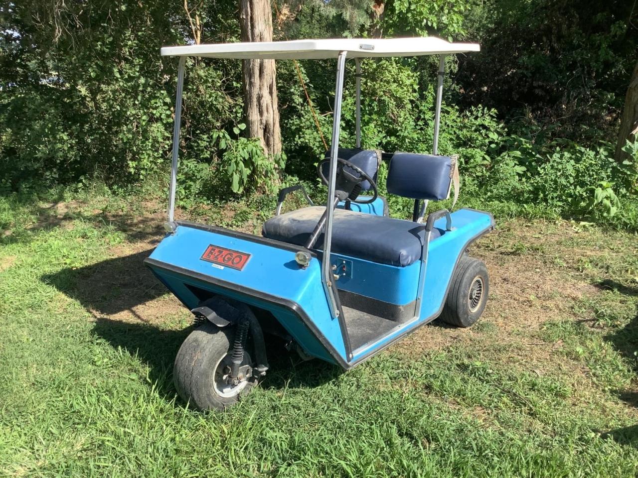 3 wheel golf cart