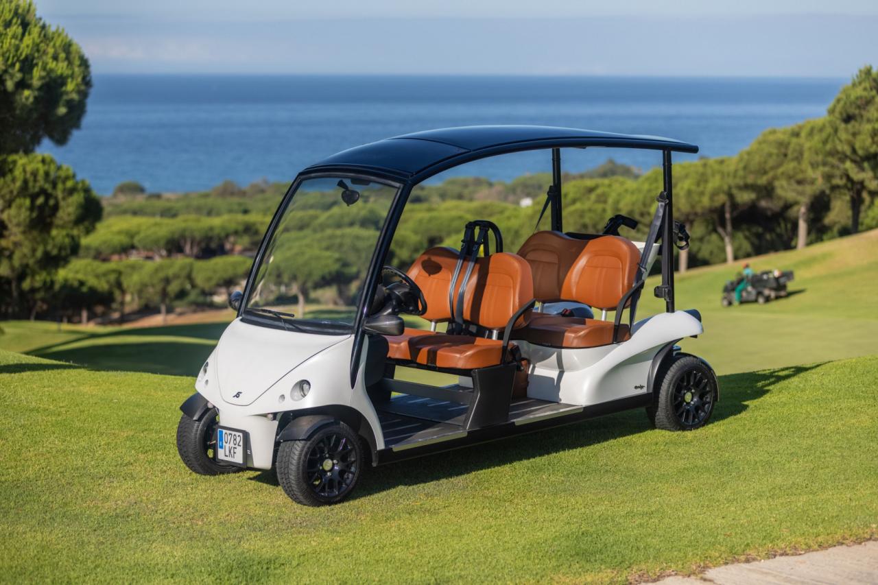 Golf cart 4 seater