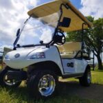 Evolution golf carts 6 seater